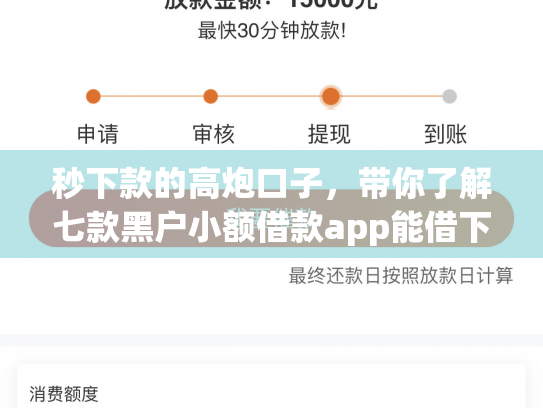 秒下款的高炮口子，带你了解七款黑户小额借款app能借下款