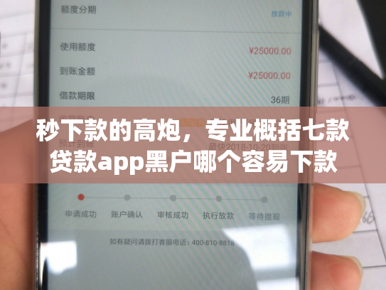 秒下款的高炮，专业概括七款贷款app黑户哪个容易下款