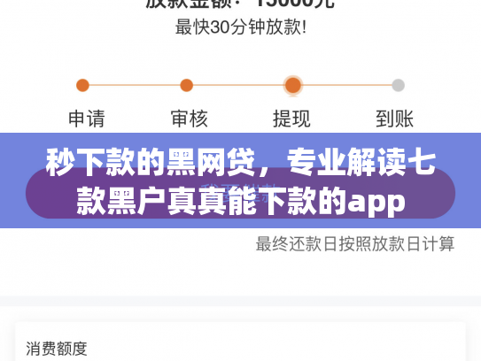 秒下款的黑网贷，专业解读七款黑户真真能下款的app