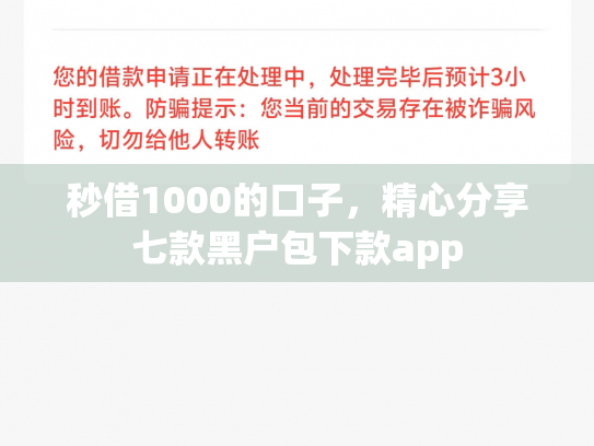 秒借1000的口子，精心分享七款黑户包下款app
