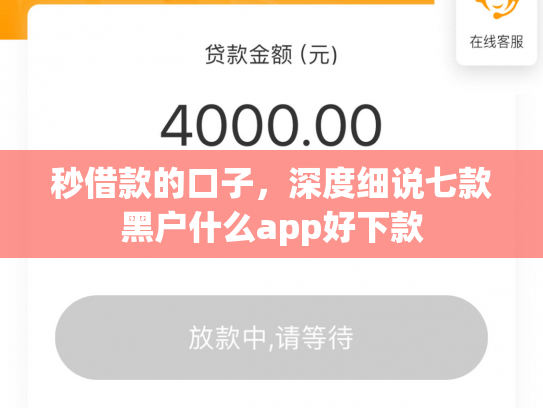 秒借款的口子，深度细说七款黑户什么app好下款