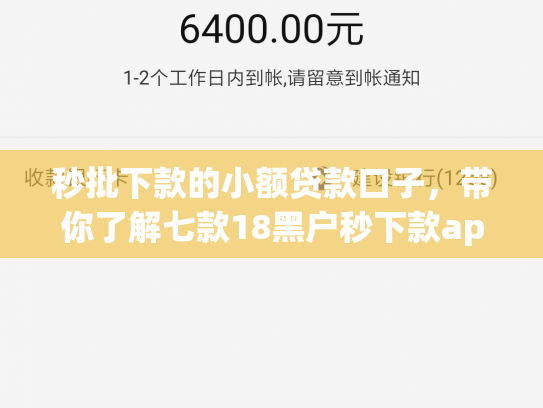 秒批下款的小额贷款口子，带你了解七款18黑户秒下款app