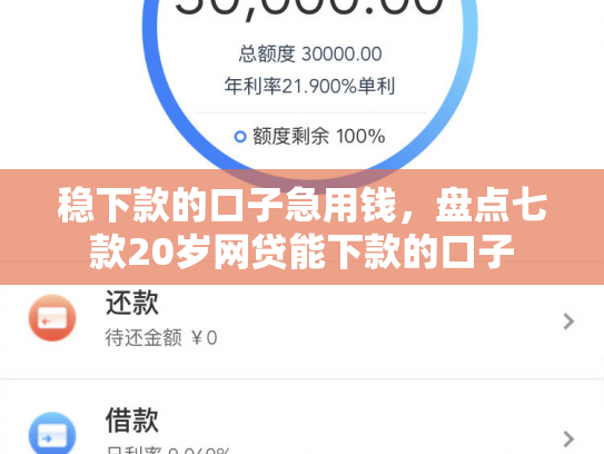 稳下款的口子急用钱，盘点七款20岁网贷能下款的口子
