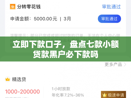立即下款口子，盘点七款小额贷款黑户必下款吗