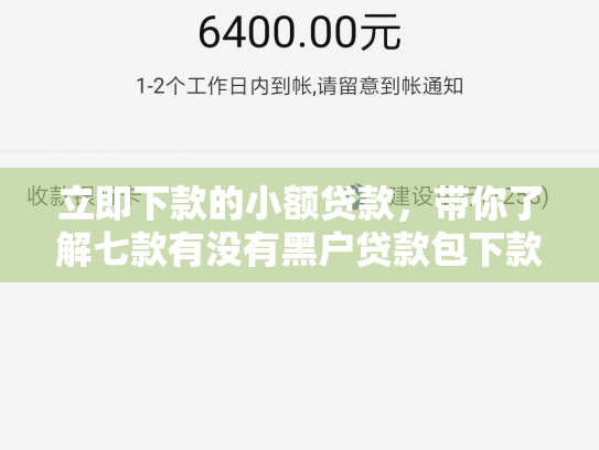 立即下款的小额贷款，带你了解七款有没有黑户贷款包下款的