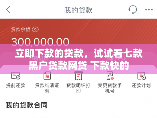 立即下款的贷款，试试看七款黑户贷款网贷 下款快的