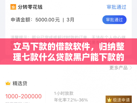 立马下款的借款软件，归纳整理七款什么贷款黑户能下款的快
