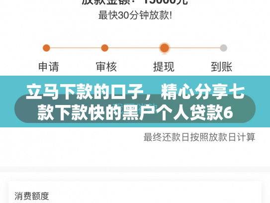 立马下款的口子，精心分享七款下款快的黑户个人贷款6