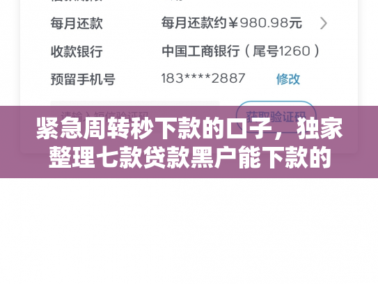 紧急周转秒下款的口子，独家整理七款贷款黑户能下款的