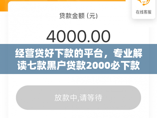 经营贷好下款的平台，专业解读七款黑户贷款2000必下款