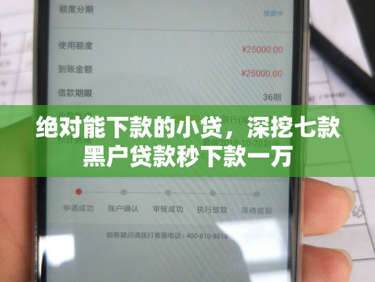 绝对能下款的小贷，深挖七款黑户贷款秒下款一万