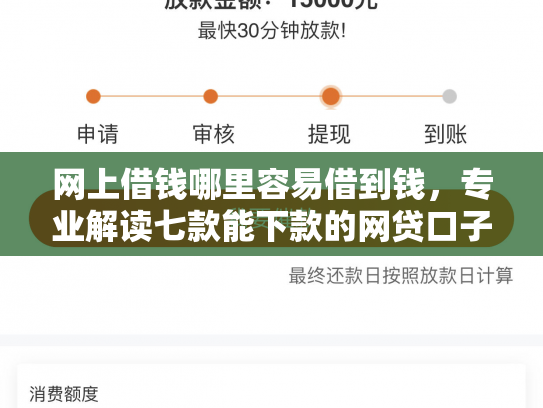 网上借钱哪里容易借到钱，专业解读七款能下款的网贷口子
