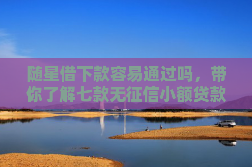 随星借下款容易通过吗，带你了解七款无征信小额贷款能下款吗