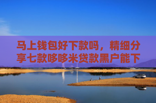 马上钱包好下款吗，精细分享七款哆哆米贷款黑户能下款吗