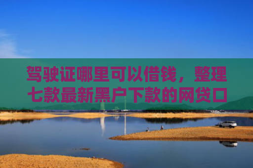 驾驶证哪里可以借钱，整理七款最新黑户下款的网贷口子
