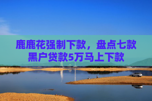 鹿鹿花强制下款，盘点七款黑户贷款5万马上下款