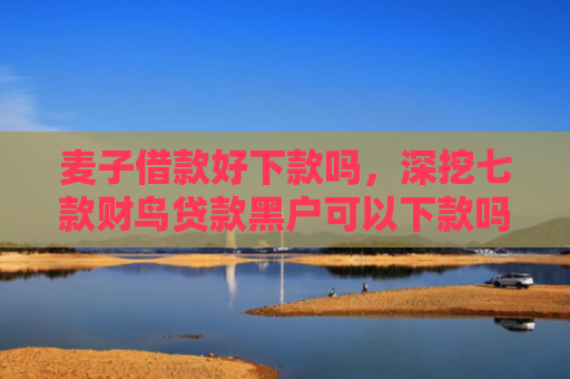 麦子借款好下款吗，深挖七款财鸟贷款黑户可以下款吗