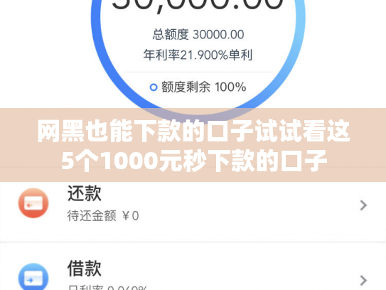网黑也能下款的口子试试看这5个1000元秒下款的口子