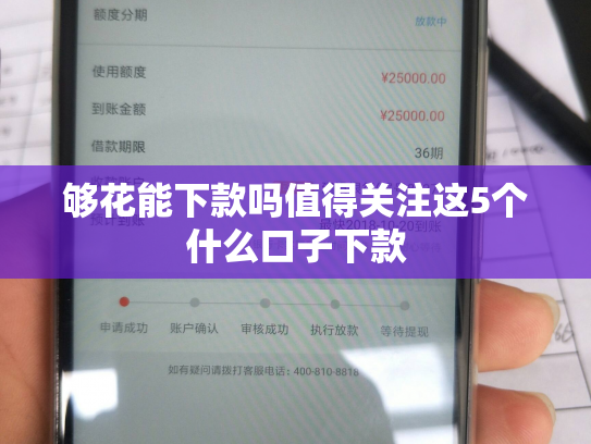 够花能下款吗值得关注这5个什么口子下款