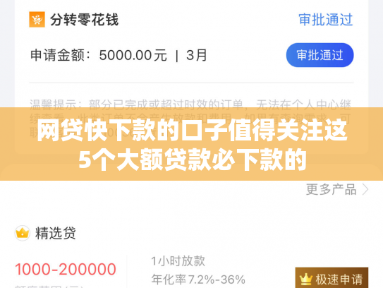 网贷快下款的口子值得关注这5个大额贷款必下款的