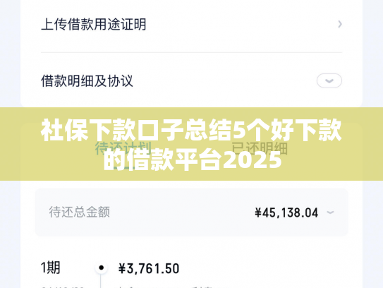社保下款口子总结5个好下款的借款平台2025