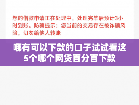 哪有可以下款的口子试试看这5个哪个网贷百分百下款