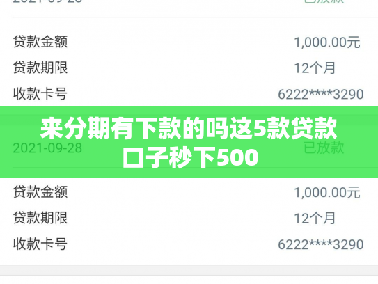 来分期有下款的吗这5款贷款口子秒下500