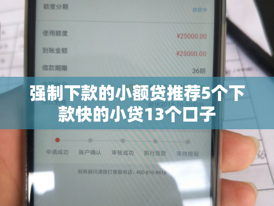 强制下款的小额贷推荐5个下款快的小贷13个口子