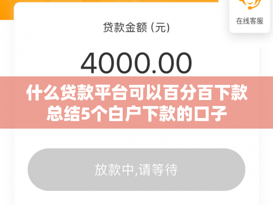 什么贷款平台可以百分百下款总结5个白户下款的口子