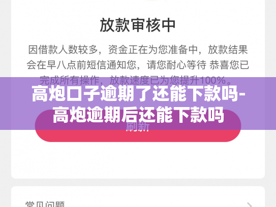 高炮口子逾期了还能下款吗-高炮逾期后还能下款吗