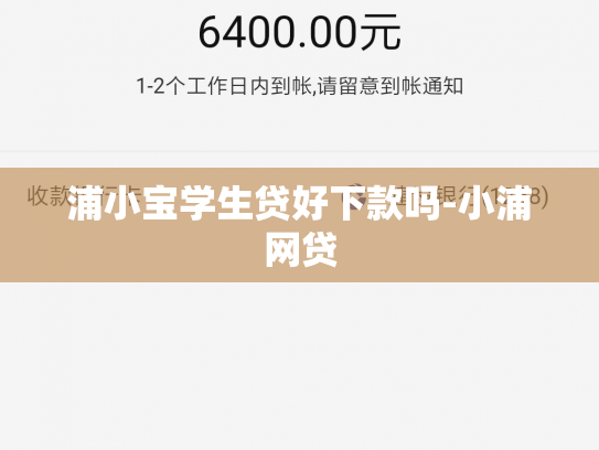 浦小宝学生贷好下款吗-小浦网贷