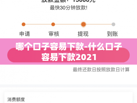 哪个口子容易下款-什么口子容易下款2021