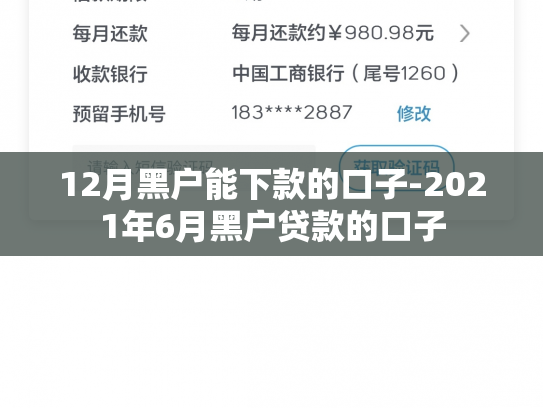 12月黑户能下款的口子-2021年6月黑户贷款的口子