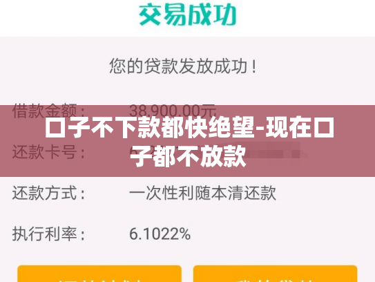 口子不下款都快绝望-现在口子都不放款