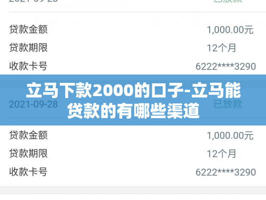 立马下款2000的口子-立马能贷款的有哪些渠道