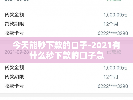 今天能秒下款的口子-2021有什么秒下款的口子急