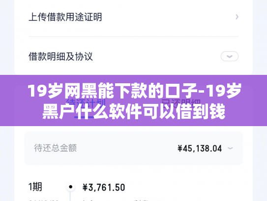 19岁网黑能下款的口子-19岁黑户什么软件可以借到钱