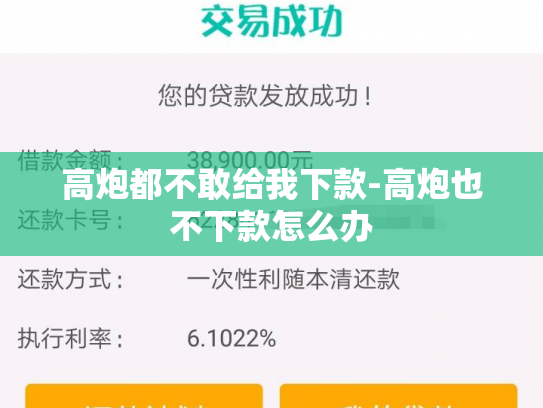 高炮都不敢给我下款-高炮也不下款怎么办