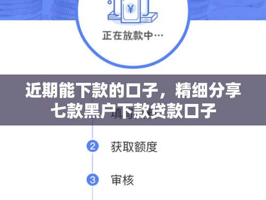 近期能下款的口子，精细分享七款黑户下款贷款口子