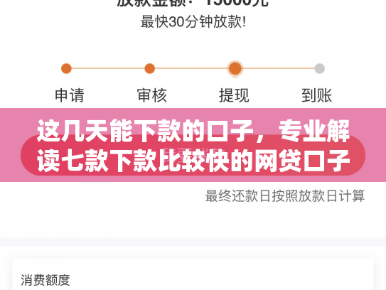 这几天能下款的口子，专业解读七款下款比较快的网贷口子