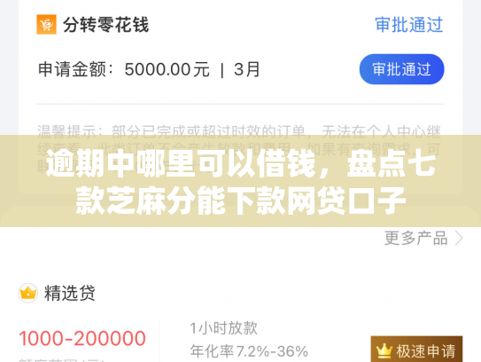 逾期中哪里可以借钱，盘点七款芝麻分能下款网贷口子