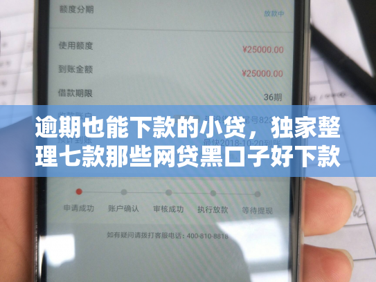 逾期也能下款的小贷，独家整理七款那些网贷黑口子好下款