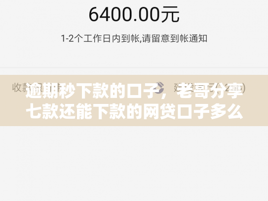 逾期秒下款的口子，老哥分享七款还能下款的网贷口子多么
