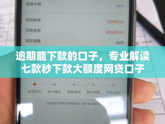 逾期能下款的口子，专业解读七款秒下款大额度网贷口子