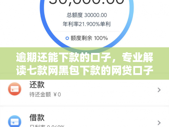 逾期还能下款的口子，专业解读七款网黑包下款的网贷口子