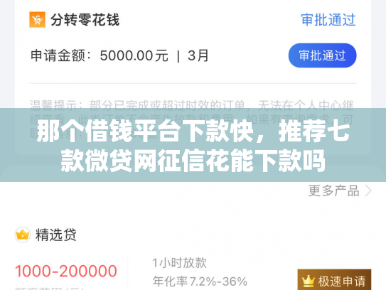 那个借钱平台下款快，推荐七款微贷网征信花能下款吗