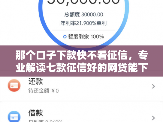那个口子下款快不看征信，专业解读七款征信好的网贷能下款吗