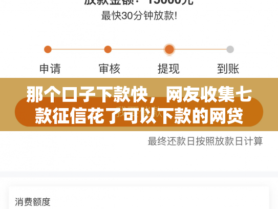 那个口子下款快，网友收集七款征信花了可以下款的网贷