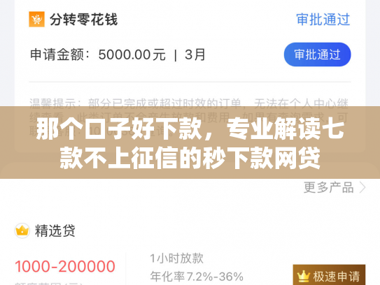 那个口子好下款，专业解读七款不上征信的秒下款网贷