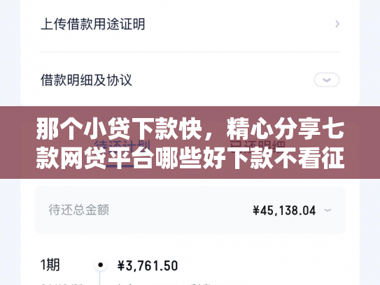 那个小贷下款快，精心分享七款网贷平台哪些好下款不看征信